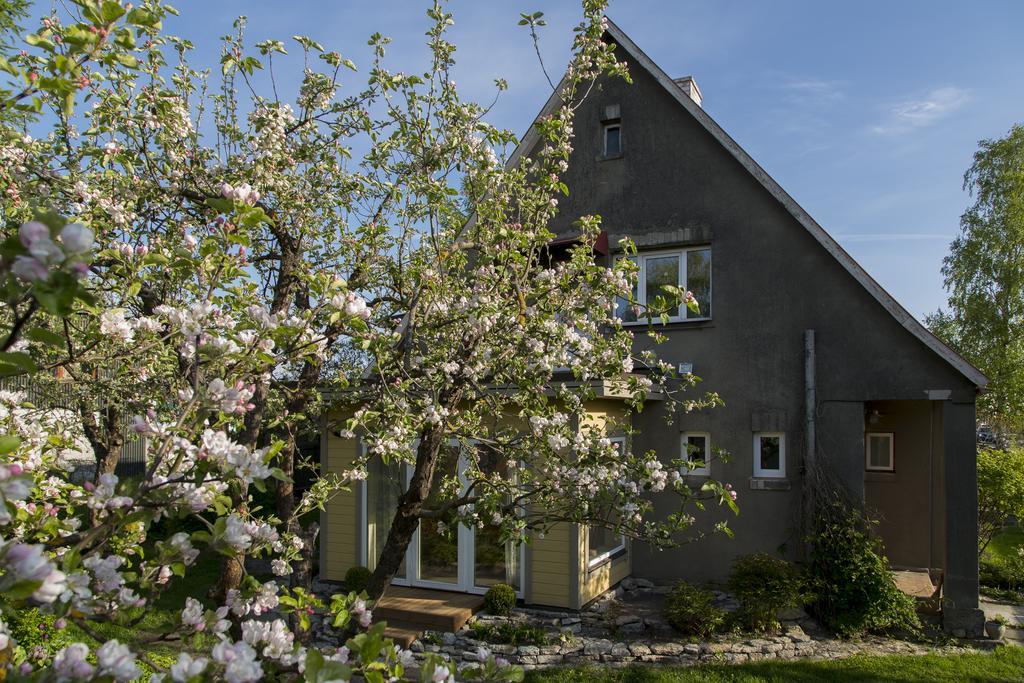 Kaevu Holiday House Pärnu Habitación foto